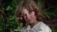 青春珊瑚岛在线观看,在线重温青春记忆，共赴蓝色梦想之旅