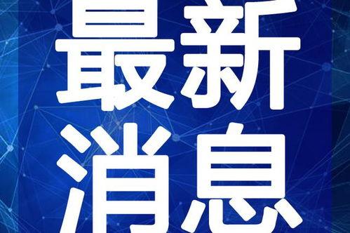 缅北老街爆料视频大全最新,最新爆料视频大全深度解析
