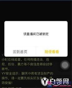 爆料恒哥的视频网站,独家爆料带你探秘幕后真相