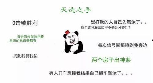 娱乐吃瓜酱佛系,轻松解码娱乐圈风云